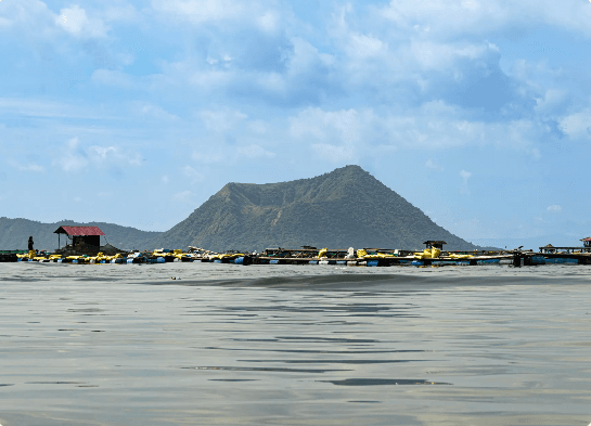 Organic Feed Solutions
